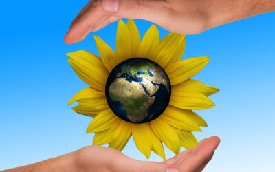 Il futuro delle costruzioni è…sostenibile